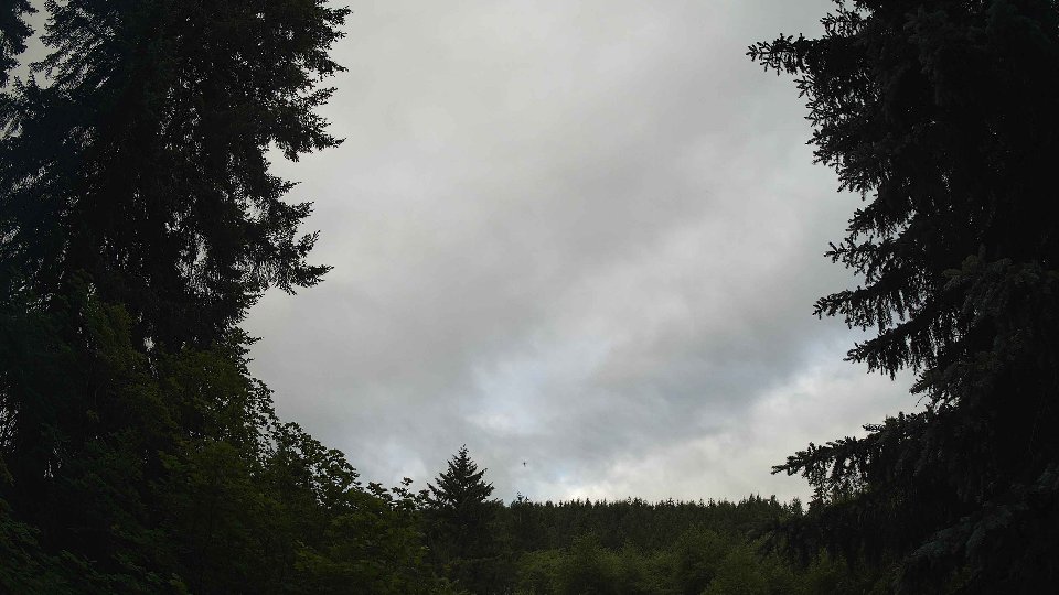 Pacific Northwest skyline timelapse frame from Jun 16th, 2026 at 7:30 AM