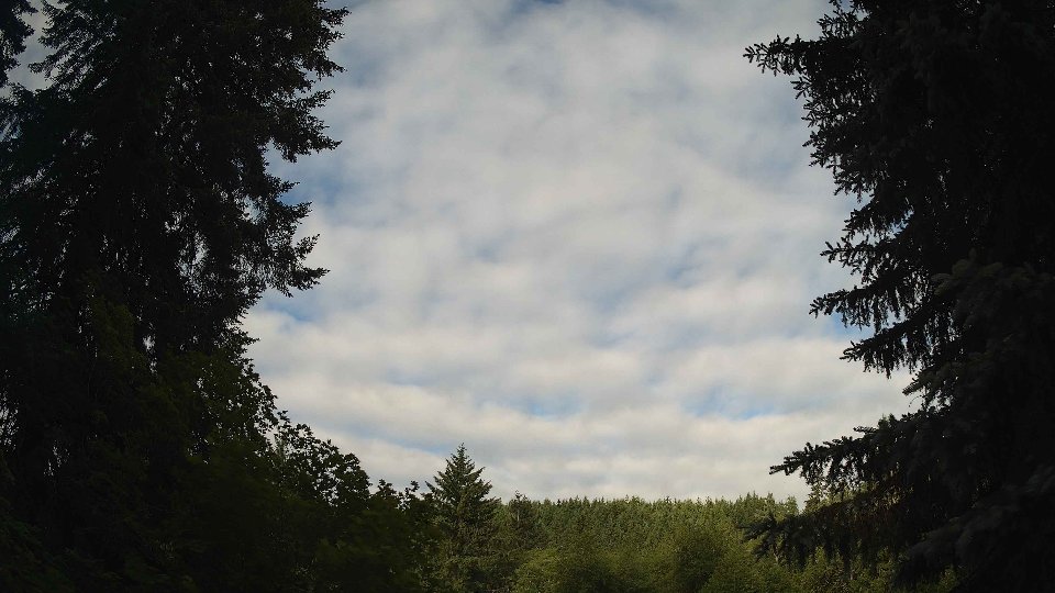 Pacific Northwest skyline timelapse frame from Jun 16th, 2026 at 8:00 AM
