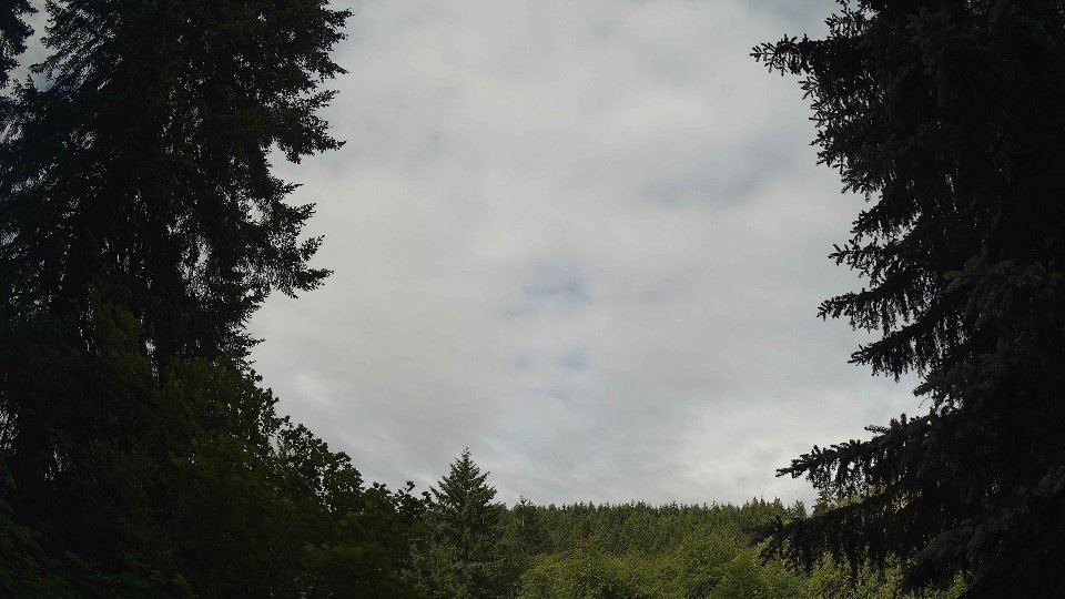 Pacific Northwest skyline timelapse frame from Jun 16th, 2026 at 8:30 AM