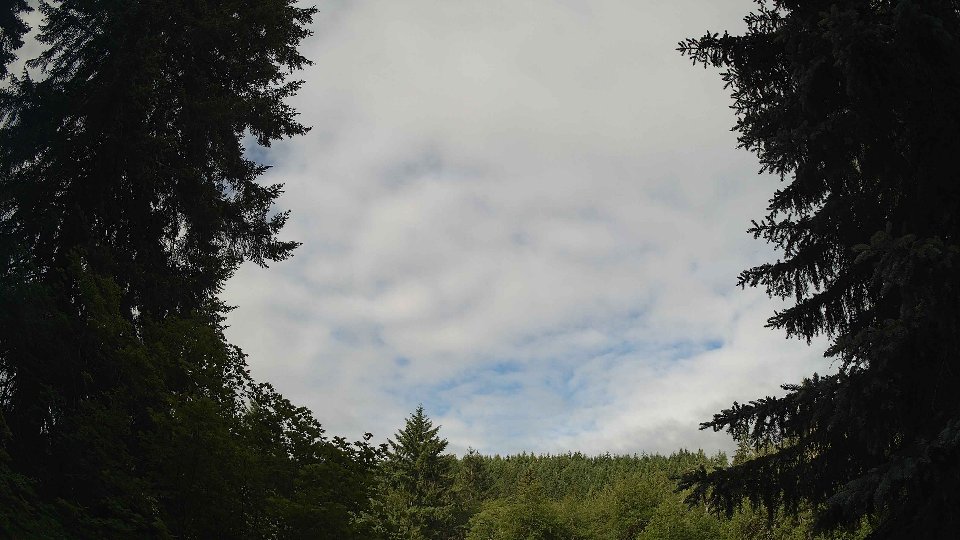 Pacific Northwest skyline timelapse frame from Jun 16th, 2026 at 8:45 AM