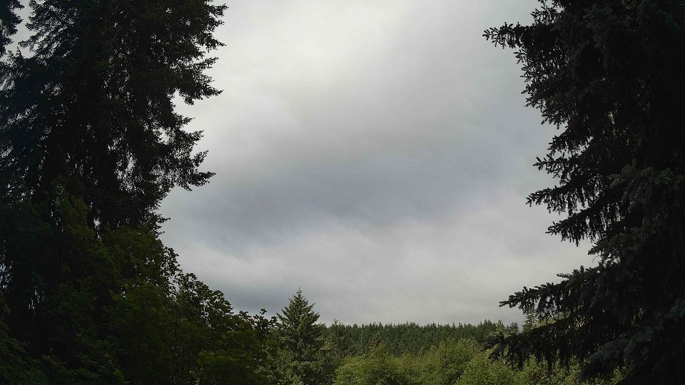 Pacific Northwest skyline timelapse frame from Jun 16th, 2026 at 9:00 AM