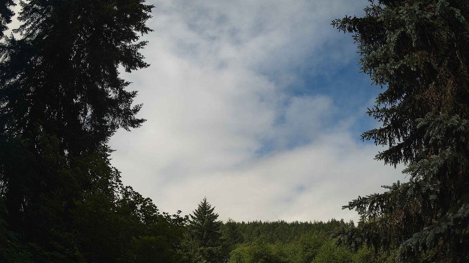 Pacific Northwest skyline timelapse frame from Jun 16th, 2026 at 10:00 AM