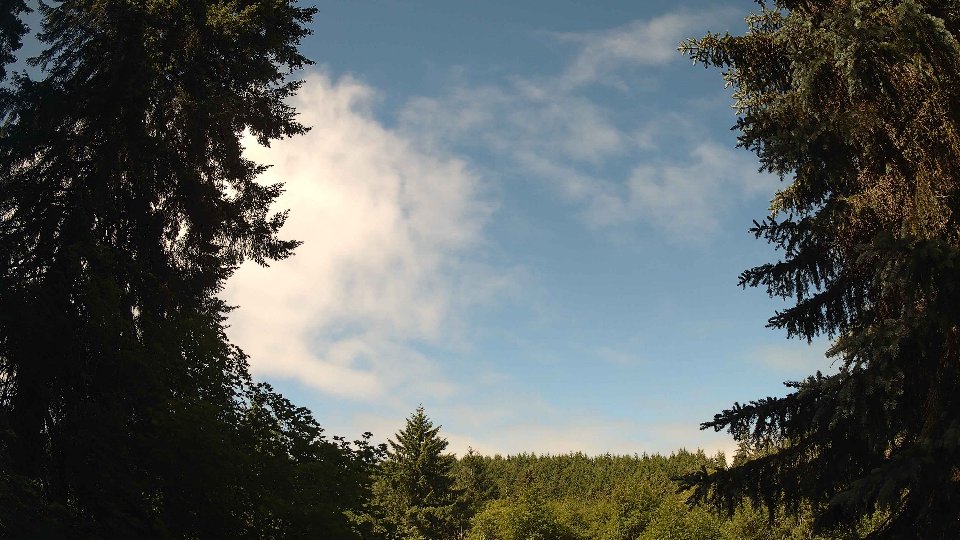 Pacific Northwest skyline timelapse frame from Jun 16th, 2026 at 10:30 AM