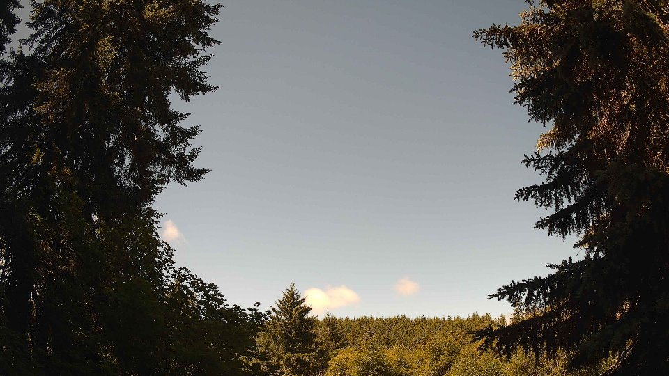 Pacific Northwest skyline timelapse frame from Jun 16th, 2026 at 11:00 AM