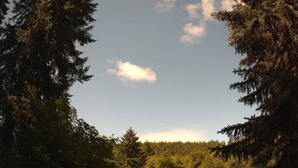 Pacific Northwest skyline timelapse frame from Jun 16th, 2026 at 11:15 AM