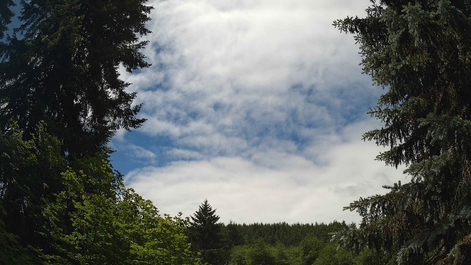 Pacific Northwest skyline timelapse frame from Jun 16th, 2026 at 11:45 AM