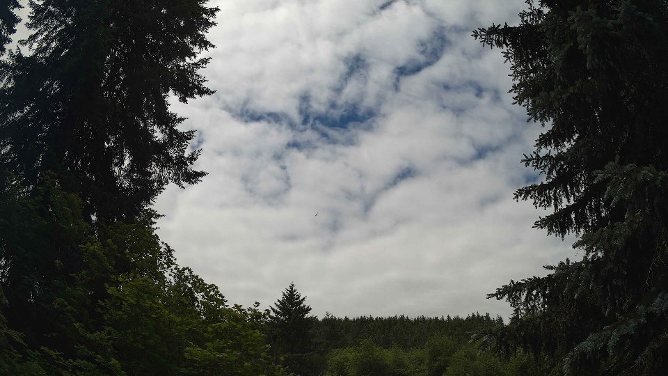 Pacific Northwest skyline timelapse frame from Jun 16th, 2026 at 12:00 PM