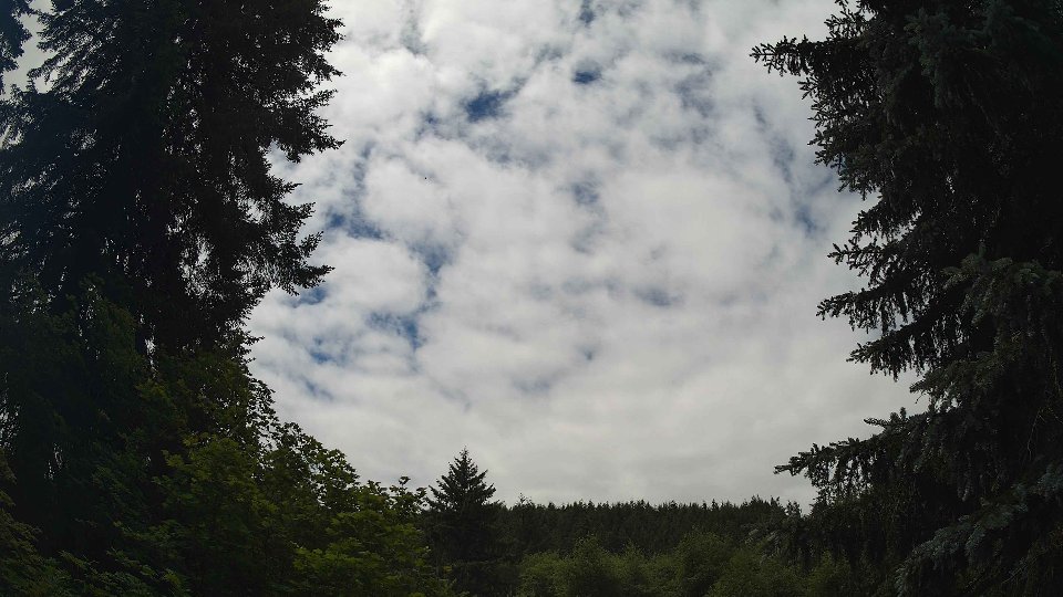 Pacific Northwest skyline timelapse frame from Jun 16th, 2026 at 12:15 PM
