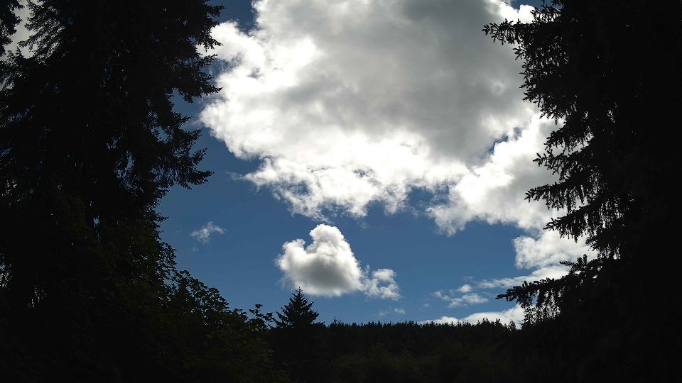 Pacific Northwest skyline timelapse frame from Jun 16th, 2026 at 3:30 PM