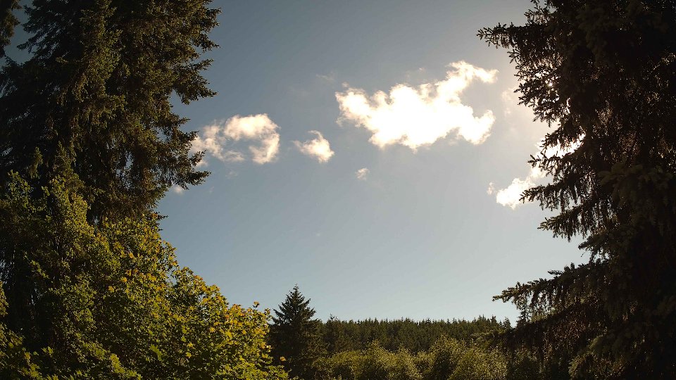 Pacific Northwest skyline timelapse frame from Jun 16th, 2026 at 5:00 PM