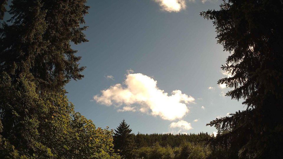 Pacific Northwest skyline timelapse frame from Jun 16th, 2026 at 5:30 PM