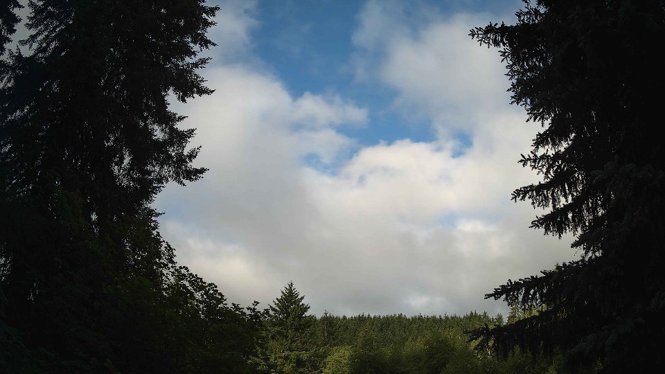 Pacific Northwest skyline timelapse frame from Jun 17th, 2026 at 7:15 AM