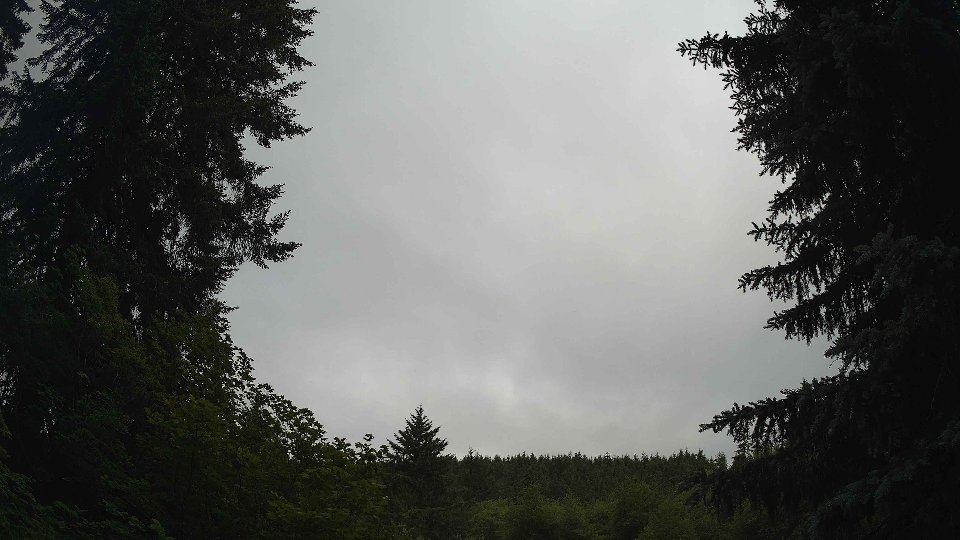 Pacific Northwest skyline timelapse frame from Jun 17th, 2026 at 8:00 AM