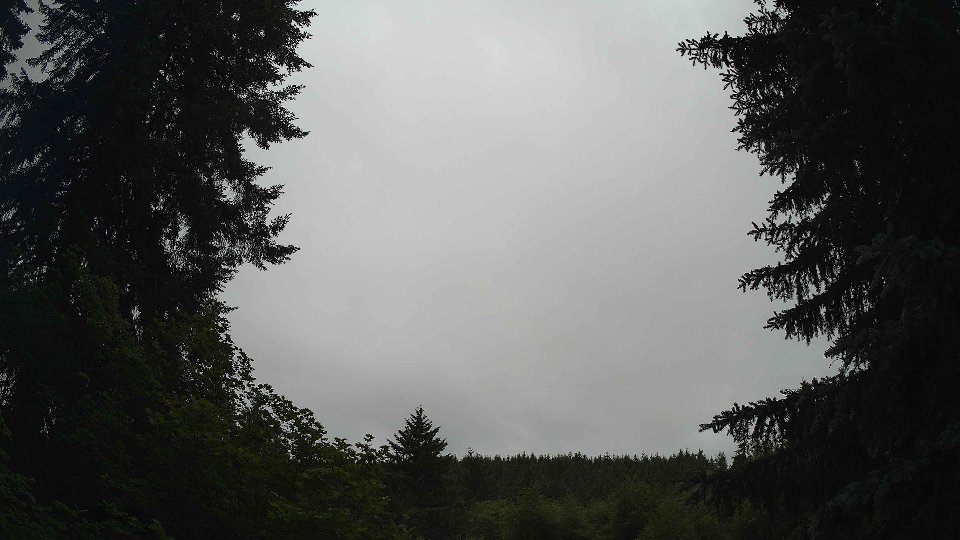 Pacific Northwest skyline timelapse frame from Jun 17th, 2026 at 8:30 AM