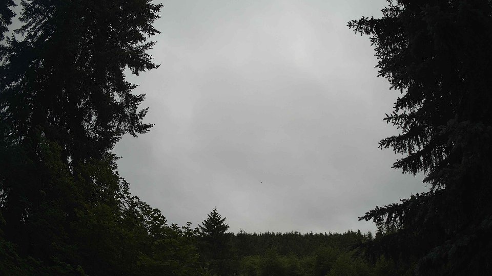 Pacific Northwest skyline timelapse frame from Jun 17th, 2026 at 8:45 AM