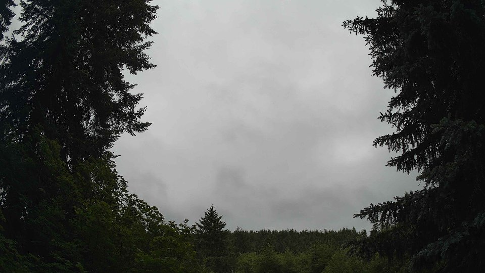 Pacific Northwest skyline timelapse frame from Jun 17th, 2026 at 9:30 AM