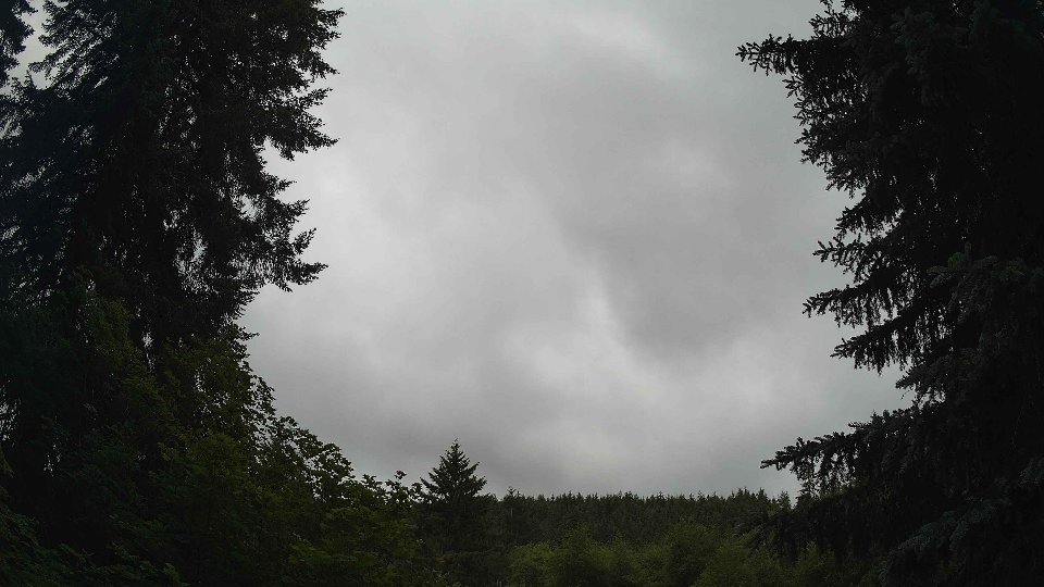 Pacific Northwest skyline timelapse frame from Jun 17th, 2026 at 9:45 AM