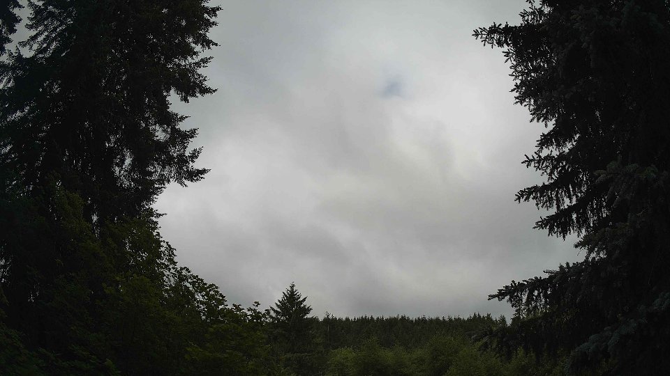 Pacific Northwest skyline timelapse frame from Jun 17th, 2026 at 10:00 AM