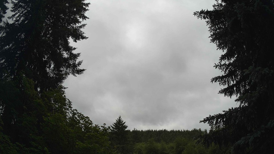 Pacific Northwest skyline timelapse frame from Jun 17th, 2026 at 10:30 AM