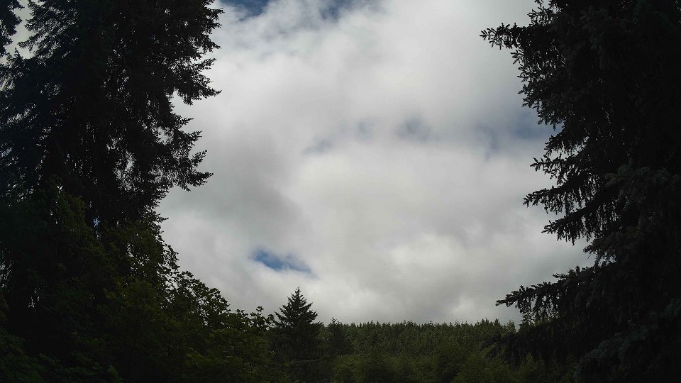 Pacific Northwest skyline timelapse frame from Jun 17th, 2026 at 11:00 AM
