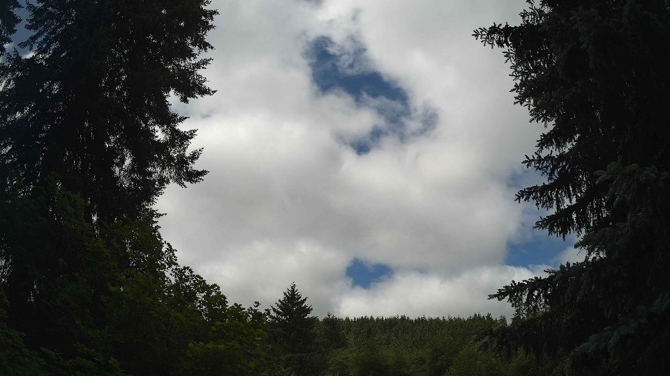 Pacific Northwest skyline timelapse frame from Jun 17th, 2026 at 11:15 AM