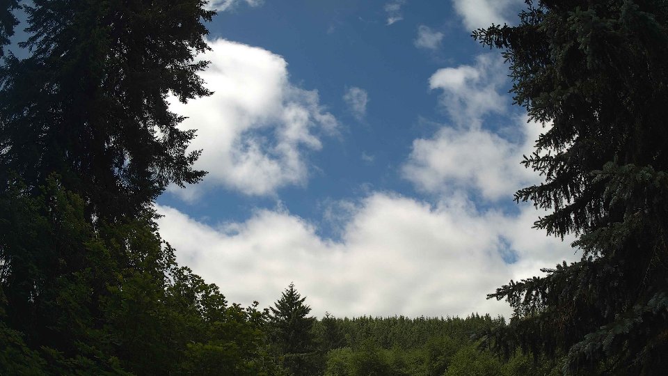Pacific Northwest skyline timelapse frame from Jun 17th, 2026 at 11:30 AM