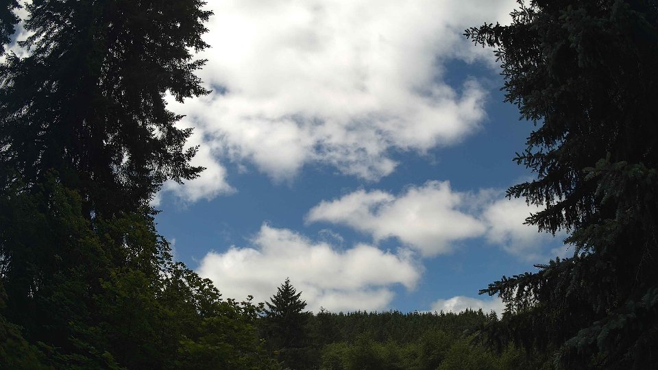 Pacific Northwest skyline timelapse frame from Jun 17th, 2026 at 11:45 AM