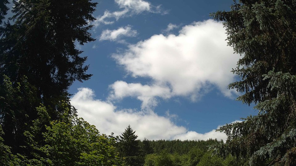 Pacific Northwest skyline timelapse frame from Jun 17th, 2026 at 12:00 PM
