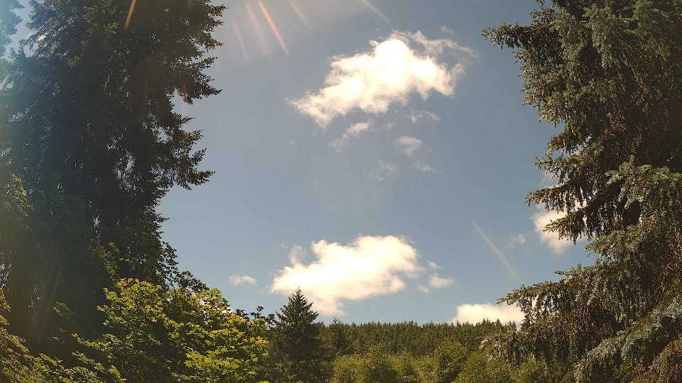 Pacific Northwest skyline timelapse frame from Jun 17th, 2026 at 12:30 PM