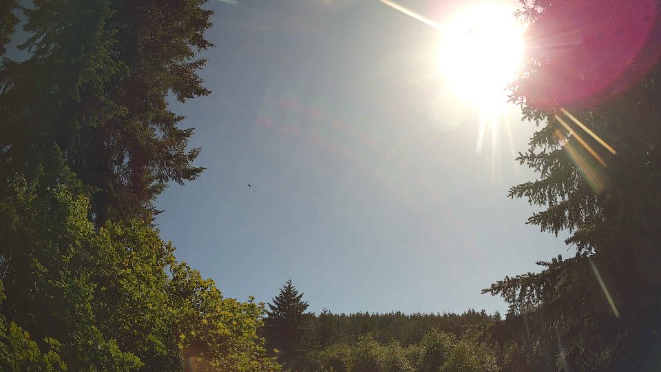 Pacific Northwest skyline timelapse frame from Jun 17th, 2026 at 4:30 PM