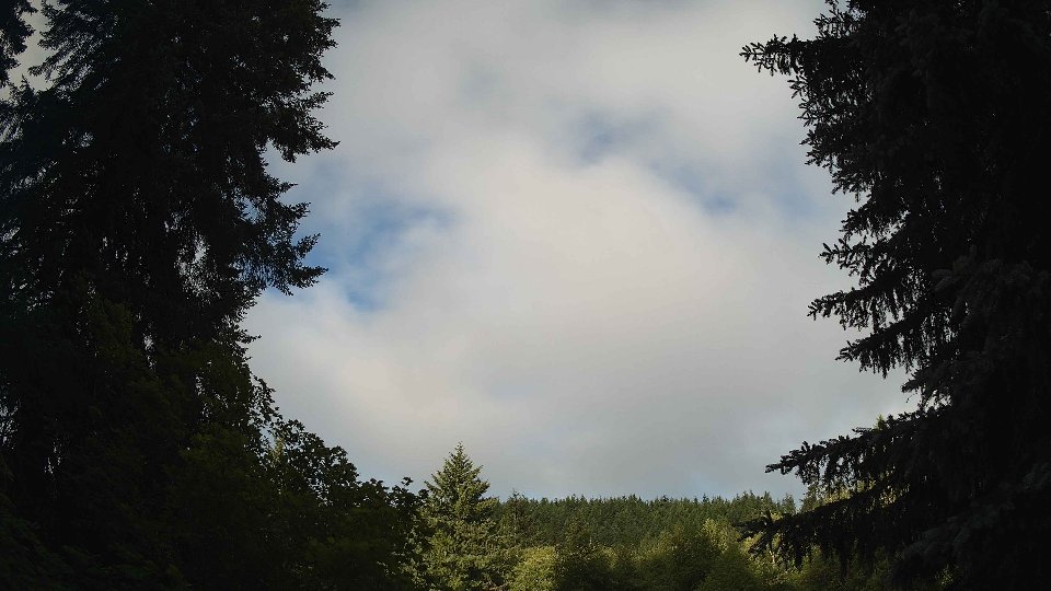 Pacific Northwest skyline timelapse frame from Jun 18th, 2026 at 7:30 AM