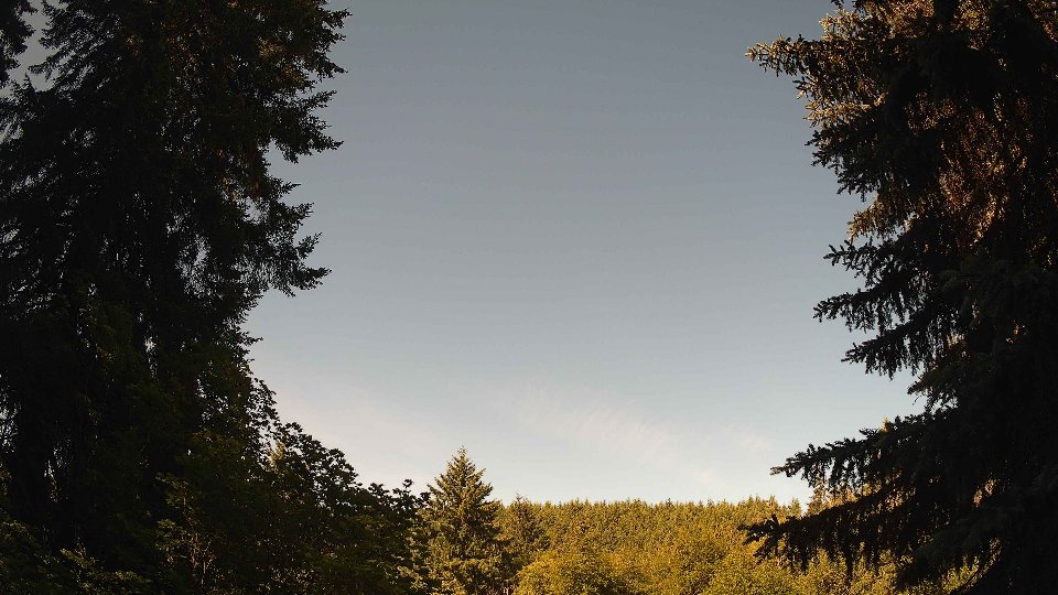 Pacific Northwest skyline timelapse frame from Jun 18th, 2026 at 9:30 AM