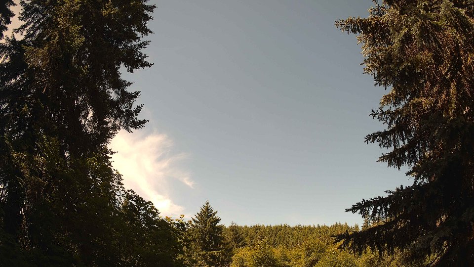 Pacific Northwest skyline timelapse frame from Jun 18th, 2026 at 11:15 AM