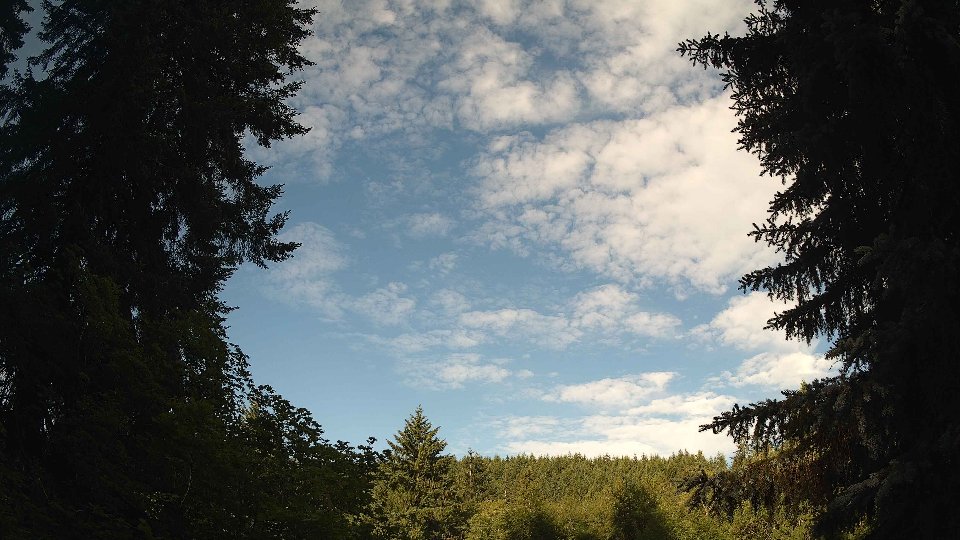 Pacific Northwest skyline timelapse frame from Jun 19th, 2026 at 8:00 AM