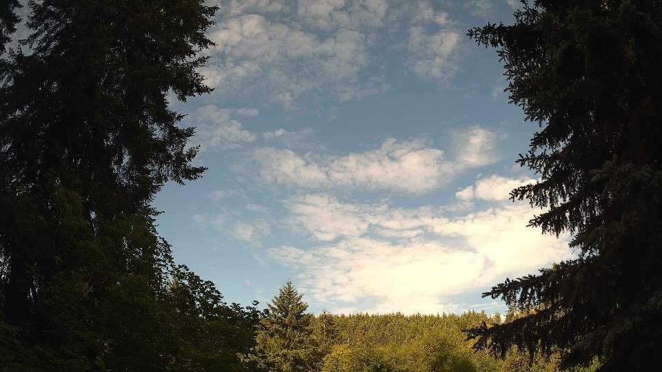 Pacific Northwest skyline timelapse frame from Jun 19th, 2026 at 8:15 AM