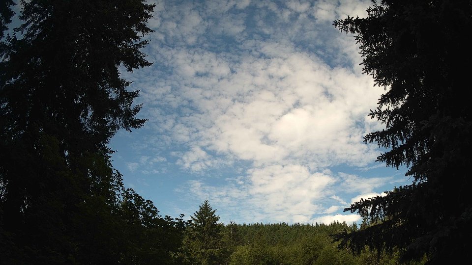 Pacific Northwest skyline timelapse frame from Jun 19th, 2026 at 8:30 AM