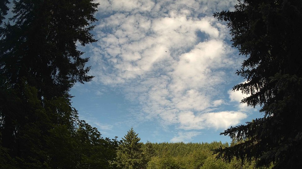 Pacific Northwest skyline timelapse frame from Jun 19th, 2026 at 8:45 AM