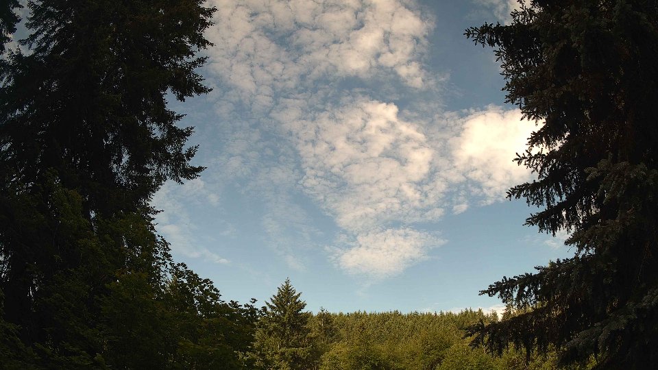 Pacific Northwest skyline timelapse frame from Jun 19th, 2026 at 9:00 AM