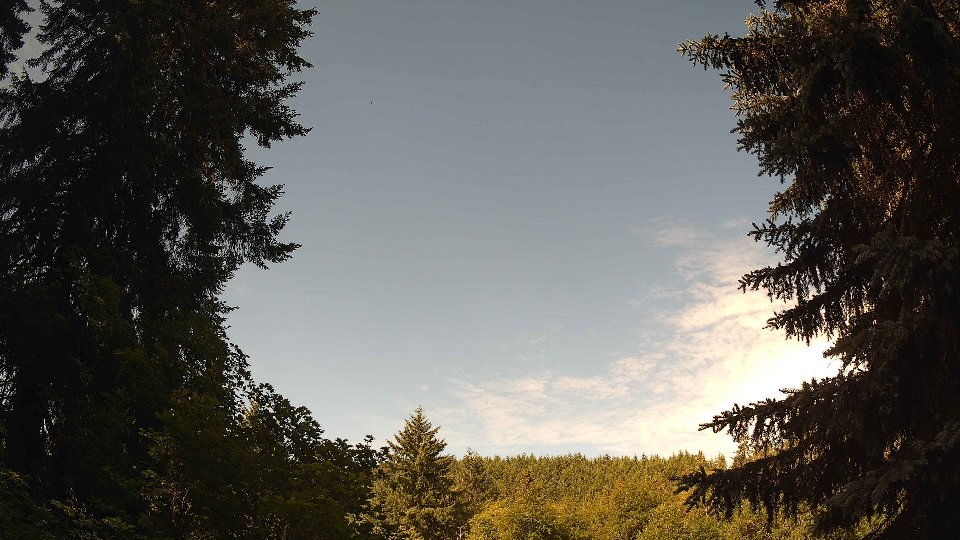 Pacific Northwest skyline timelapse frame from Jun 19th, 2026 at 9:30 AM