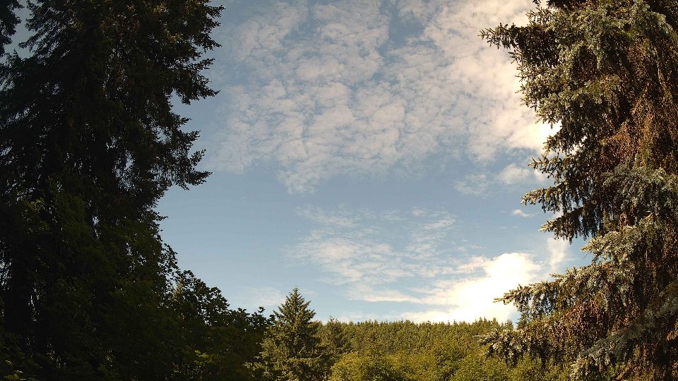 Pacific Northwest skyline timelapse frame from Jun 19th, 2026 at 10:00 AM