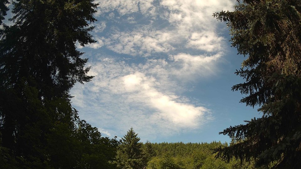 Pacific Northwest skyline timelapse frame from Jun 19th, 2026 at 10:30 AM