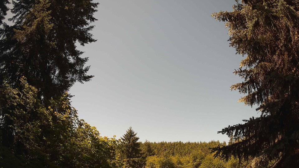 Pacific Northwest skyline timelapse frame from Jun 19th, 2026 at 11:30 AM
