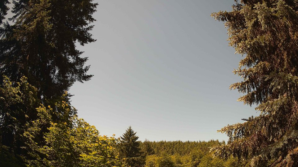 Pacific Northwest skyline timelapse frame from Jun 19th, 2026 at 11:45 AM