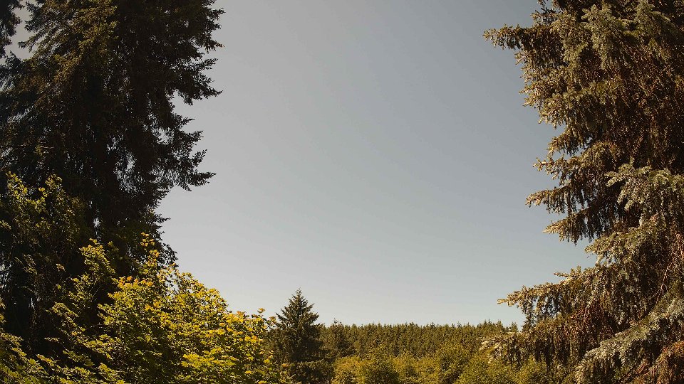 Pacific Northwest skyline timelapse frame from Jun 19th, 2026 at 12:00 PM