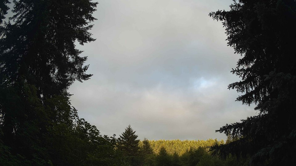 Pacific Northwest skyline timelapse frame from Jun 20th, 2026 at 6:00 AM