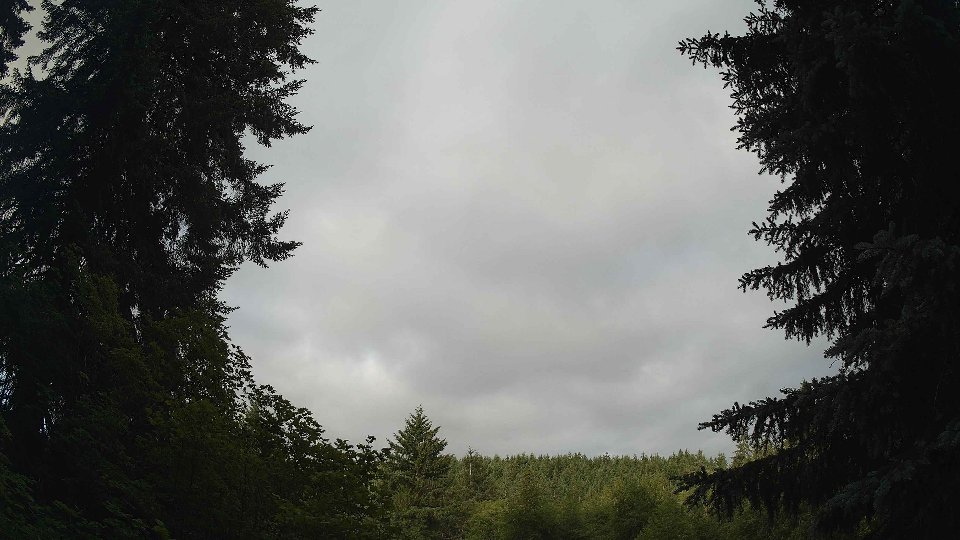 Pacific Northwest skyline timelapse frame from Jun 20th, 2026 at 7:00 AM