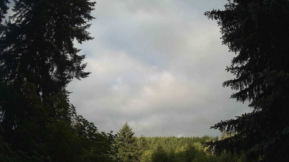 Pacific Northwest skyline timelapse frame from Jun 20th, 2026 at 7:15 AM