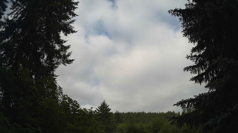 Pacific Northwest skyline timelapse frame from Jun 20th, 2026 at 8:00 AM