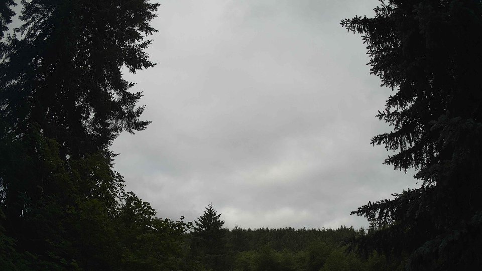Pacific Northwest skyline timelapse frame from Jun 20th, 2026 at 8:30 AM