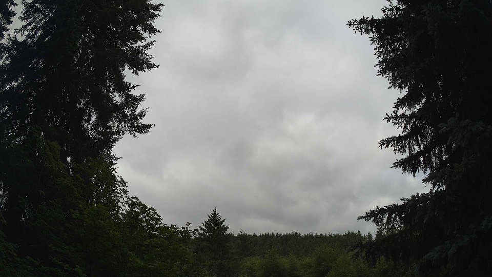 Pacific Northwest skyline timelapse frame from Jun 20th, 2026 at 8:45 AM